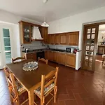 In - Maria Grazia סקרפריה
