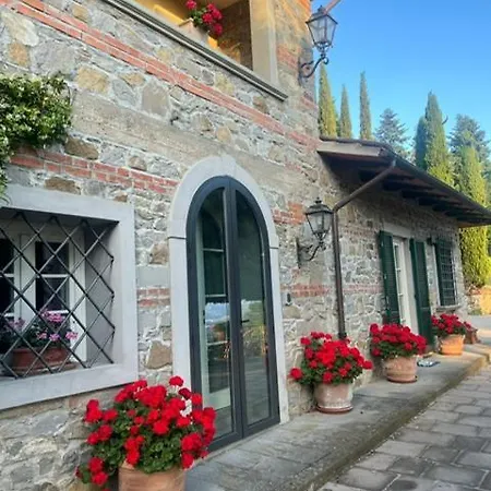 In - Maria Grazia *
